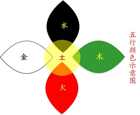 五行的顏色|五行